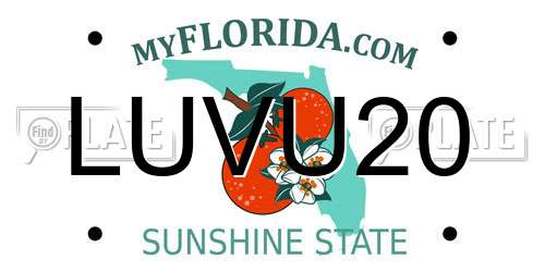 LUVU20 Florida License Plate