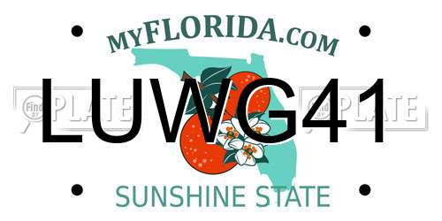 LUWG41 Florida License Plate
