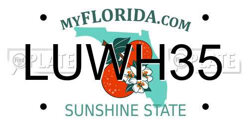 LUWH35 Florida License Plate