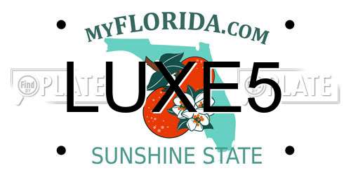 LUXE5 Florida License Plate