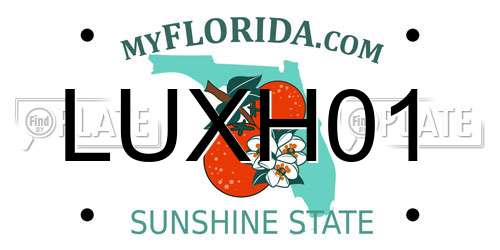 LUXH01 Florida License Plate