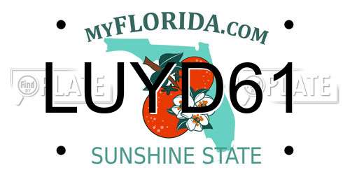 LUYD61 Florida License Plate