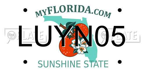 LUYN05 Florida License Plate