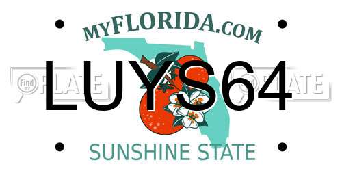 LUYS64 Florida License Plate