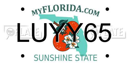LUYY65 Florida License Plate