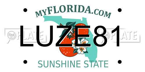 LUZE81 Florida License Plate