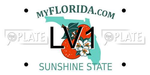 LV1 Florida License Plate