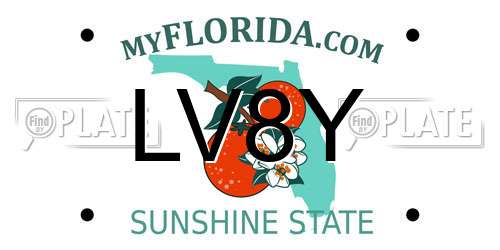 LV8Y Florida License Plate