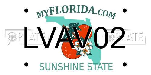 LVAV02 Florida License Plate