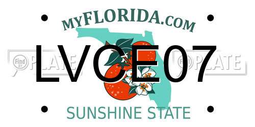 LVCE07 Florida License Plate