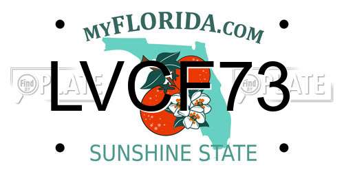 LVCF73 Florida License Plate