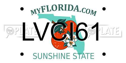 LVCI61 Florida License Plate