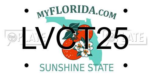 LVCT25 Florida License Plate