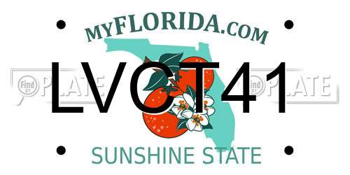 LVCT41 Florida License Plate