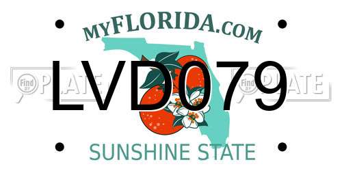LVD079 Florida License Plate