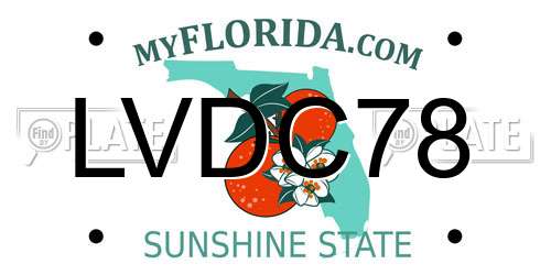 LVDC78 Florida License Plate