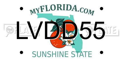 LVDD55 Florida License Plate
