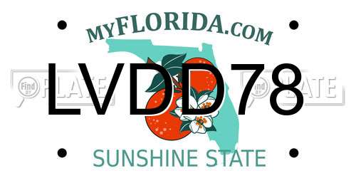 LVDD78 Florida License Plate
