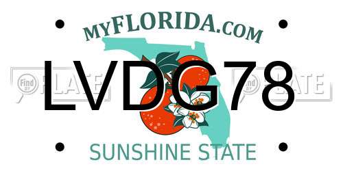LVDG78 Florida License Plate