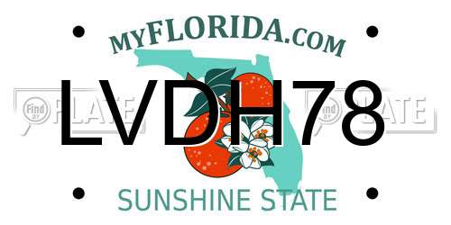 LVDH78 Florida License Plate