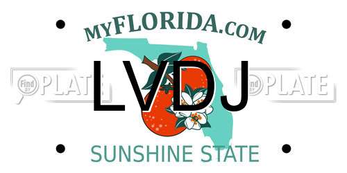 LVDJ Florida License Plate