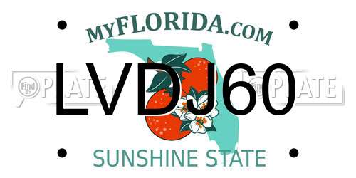 LVDJ60 Florida License Plate