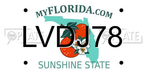 LVDJ78 Florida License Plate