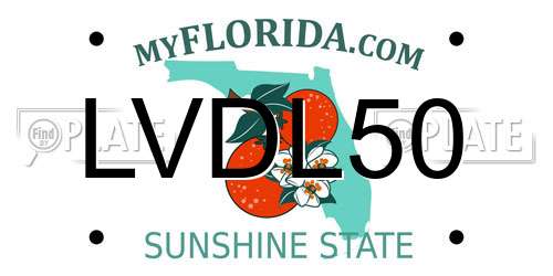 LVDL50 Florida License Plate