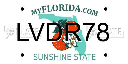 LVDR78 Florida License Plate