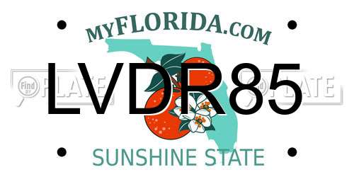 LVDR85 Florida License Plate