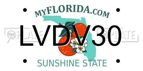 LVDV30 Florida License Plate