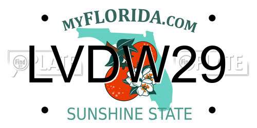 LVDW29 Florida License Plate