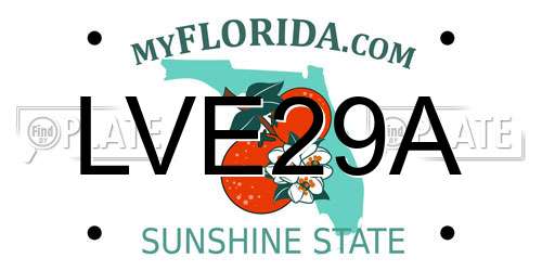 LVE29A Florida License Plate