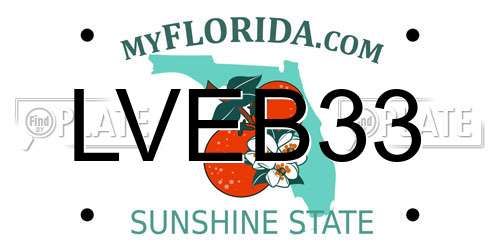 LVEB33 Florida License Plate