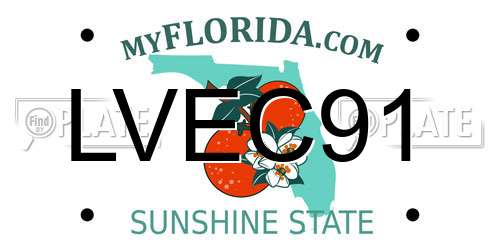 LVEC91 Florida License Plate