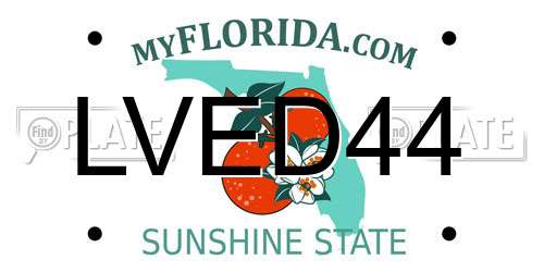 LVED44 Florida License Plate