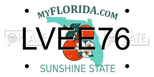 LVEE76 Florida License Plate
