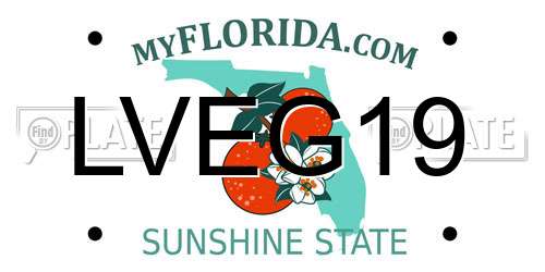 LVEG19 Florida License Plate