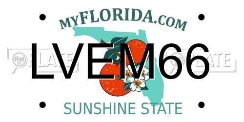 LVEM66 Florida License Plate