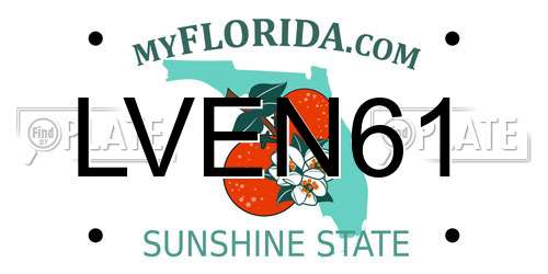 LVEN61 Florida License Plate