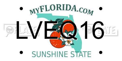 LVEQ16 Florida License Plate