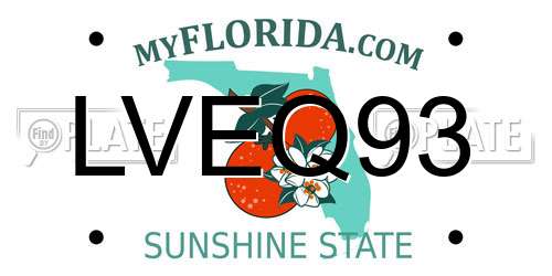 LVEQ93 Florida License Plate