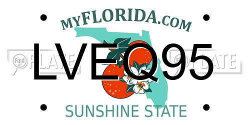 LVEQ95 Florida License Plate