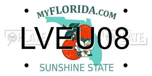 LVEU08 Florida License Plate