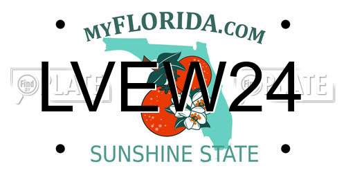 LVEW24 Florida License Plate