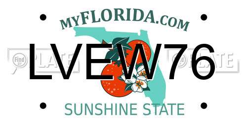 LVEW76 Florida License Plate