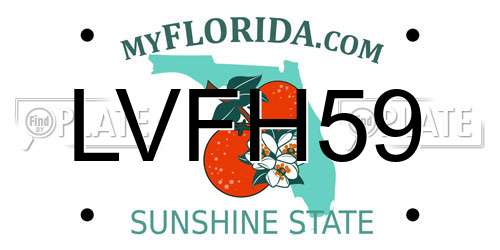 LVFH59 Florida License Plate
