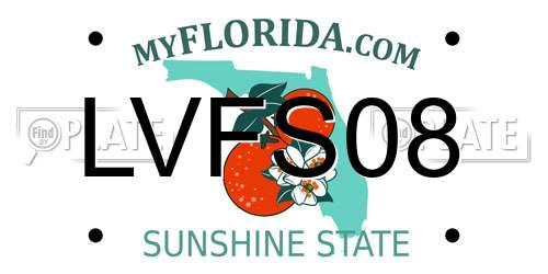 LVFS08 Florida License Plate