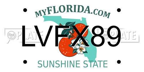 LVFX89 Florida License Plate