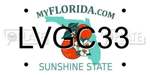 LVGC33 Florida License Plate